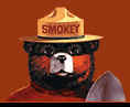 smokeybear.jpg (25171 bytes)
